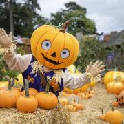 West Midland Safari Park’s new character “Patch” is ready to entertain guests for their Spooky Spectacular event.