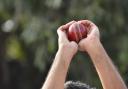 Birmingham League cricket round up: all the action from around the region