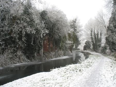 Staffordshire and Worcestershire canal. Photo by Joyce Taylor.