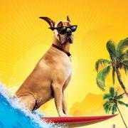 COMPETITION: Win tickets to Marmaduke  with Reel Cinema, Quinton