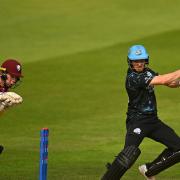 Report: Ben Cox's 58 threatened to snatch victory for Worcestershire Rapids, but it was not quite enough in the 36-run defeat at Somerset