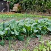 The allotments are now the responsibility of Wolverley and Cookley Parish Council