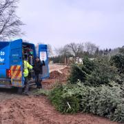The team from British Gas help to collect trees in the local area
