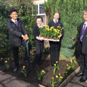 Baxter College House Parliament members planting daffodils