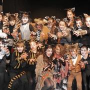 Purrfect: Abberley Hall pupils are transformed into cats for their school musical.