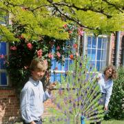 Model, pupils: Abberley Hall head boy Lucien Whitworth and head girl Lili Ismail with the sculpted peacock.