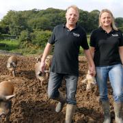 Walking on: Jeremy and Sally Levell have seen orders at Forest Pig rise since appearing on the BBC’s Countryfile show. Picture: MIRIAM BALFRY. 411311M.