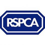 RSPCA holding charity tea