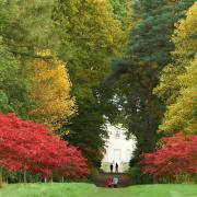 Be inspired by autumn walks