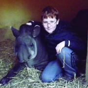 ANIMAL LOVER: Jamie Griffin, 9, of Cookley, spent the day looking after Brazilian tapirs at Dudley Zoo.