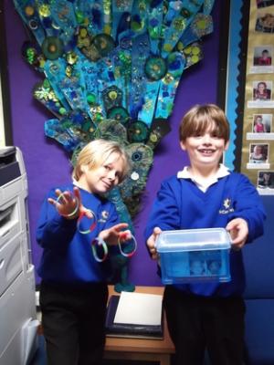 Helping hand: Finlay Fitton, left and Jacob Carthew, with the wristbands.