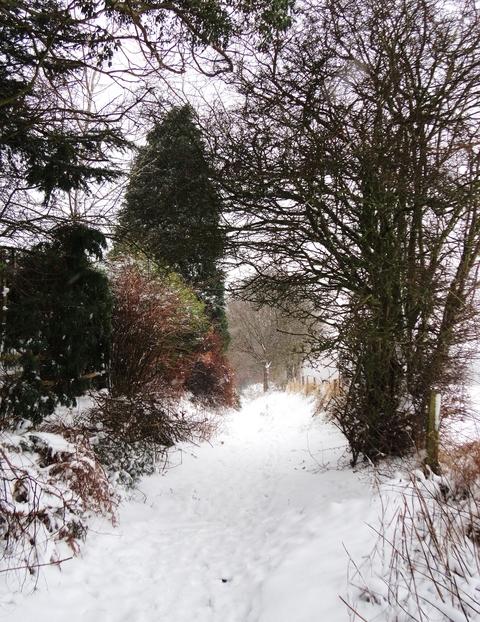 Spennells snow. Photo: Caroline Willitts.