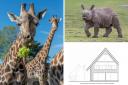 Plans have been put forward to by West Midland Safari Park for eight new safari lodges overlooking giraffe and rhino enclosures.