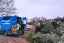 The team from British Gas help to collect trees in the local area