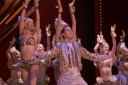 Musicals such as Priscilla: Queen of the Desert and 42nd Street feature in Number 8's summer lineup