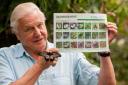 BUTTERFLY COUNT: Sir David Attenborough has backed the project.