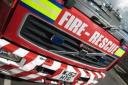 Garden fire in Cookley takes out conifer trees and shed