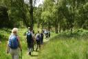 Two walks will take place from Kinver Community Library on Tuesday June 4.