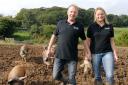 Walking on: Jeremy and Sally Levell have seen orders at Forest Pig rise since appearing on the BBC’s Countryfile show. Picture: MIRIAM BALFRY. 411311M.