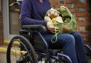 Woman in wheelchair with shopping. Photo: Getty