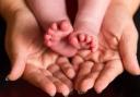 Wyre Forest sees fewest births in a decade