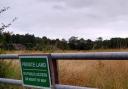 Land off Stourport Road earmarked for new homes