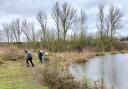Volunteers creating a 'dead hedge'