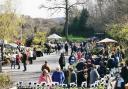 A plant fair will be held on Saturday