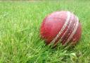 Coronavirus stumps league cricket as season start is delayed