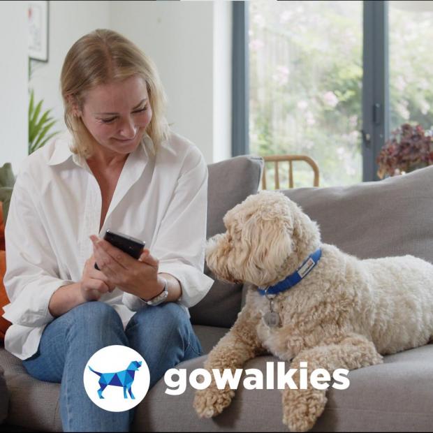 Kidderminster Shuttle: GoWalkies is quick and easy to use from both the walkers and owners perspective. (GoWalkies)