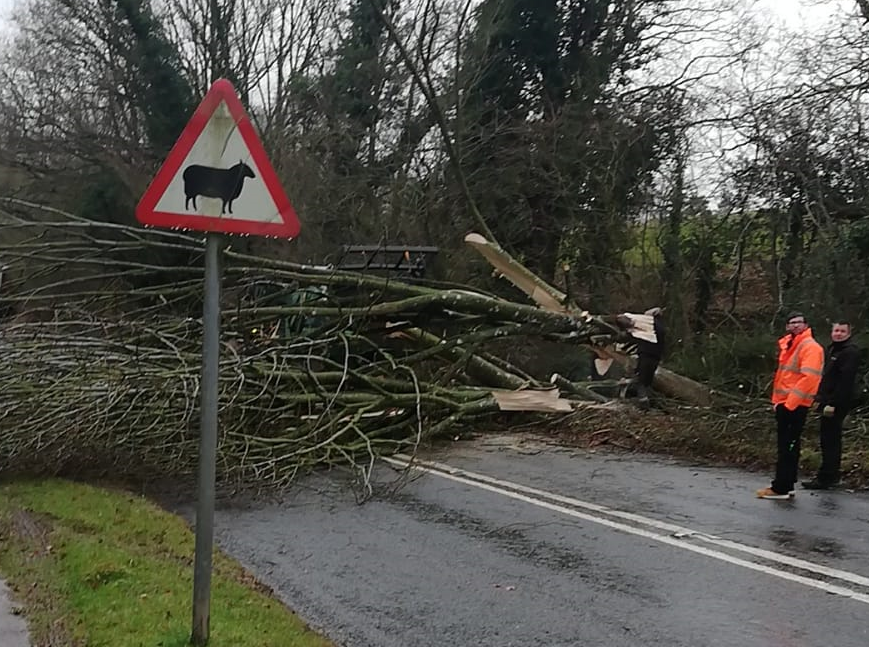 Storm Eunice: Fallen tree total in Worcestershire | Kidderminster Shuttle - Vimarsana News