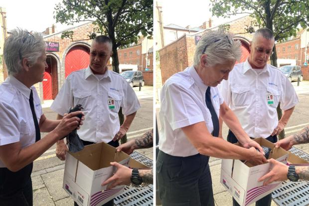 KIND: Prison officers Michelle Whitmore (left) and Stephen White make sure the pigeon is okay. Holding the box is George Birch.