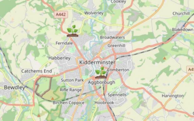 Kidderminster Shuttle: Giant Hogweed Locations Map (WhatShed)