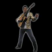 COMPETITION: Win tickets to Elvis Legacy