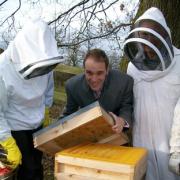 How’s stings?: Councillor Marcus Hart, centre and David Mills, right, of Kidderminster Beekeepers Association, with Mary Cooper, beekeeping enthusiast.