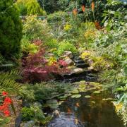Tropical garden paradise on Oakhampton Road in Stourport