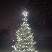The newly unveiled Christmas tree on Hartlebury village green.