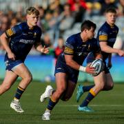 Worcester Warriors' Francois Venter has been one of the stand out performers this season.
