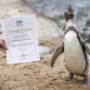 It's all smiles at west Midlands Safari Park after their award success
