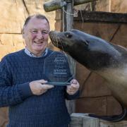 West Midland Safari Park’s Managing Director, Chris Kelly, celebrates winning Large Visitor Attraction of the Year, with sea lion, Jack.