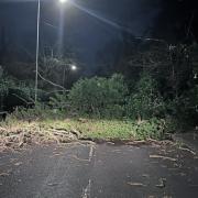 Tree falls down on Sutton Park Road in Kidderminster