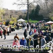 A plant fair will be held on Saturday