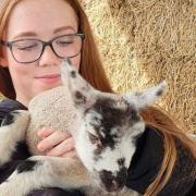 Sophie Enright, 14, from Birmingham, visited Gannow Farm on April 3 and less than a week later fell ill.