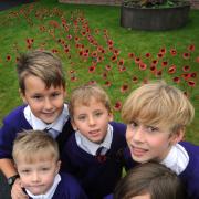 COMMEMORATION: Cookley pupils Harry Laud, 5, Emily Willetts, 6, Oliver Williams, 11, Jack Thompson, 7, and Robert Knight, 10, in front of the display. 461427L