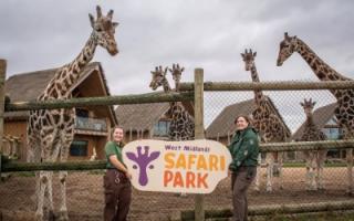 West Midland Safari Park has added an 's' onto Midland, and revealed a new logo
