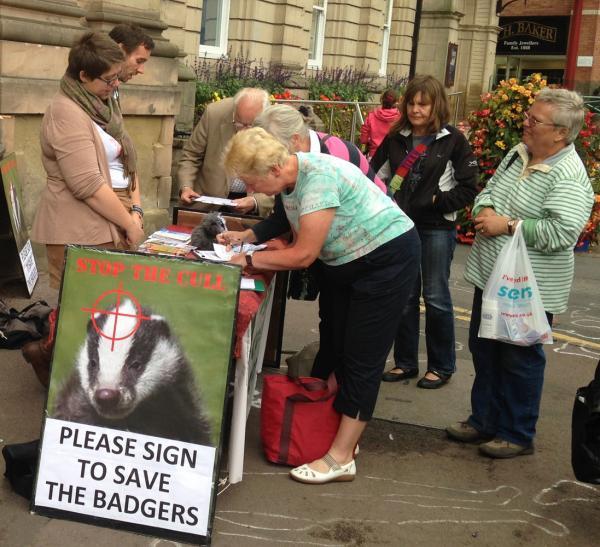 PETITION: Wyre Forest Vegans and Veggies collected hundreds of signatures in Kidderminster.